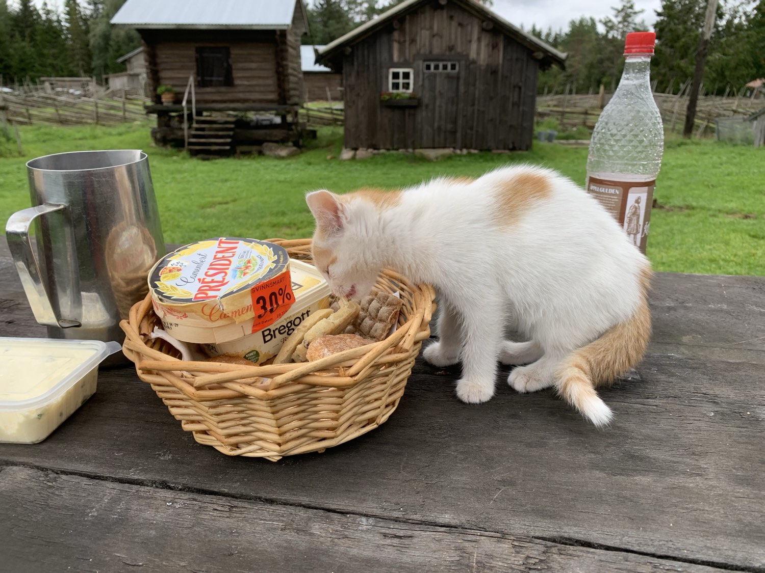 animals at Nederberga Valley