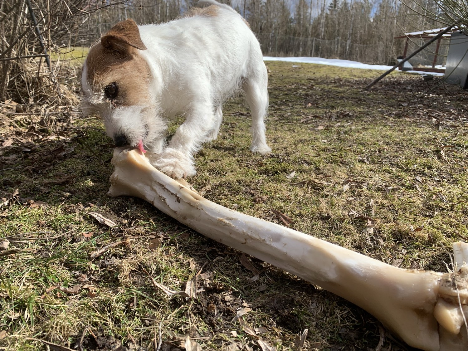 animals at Nederberga Valley