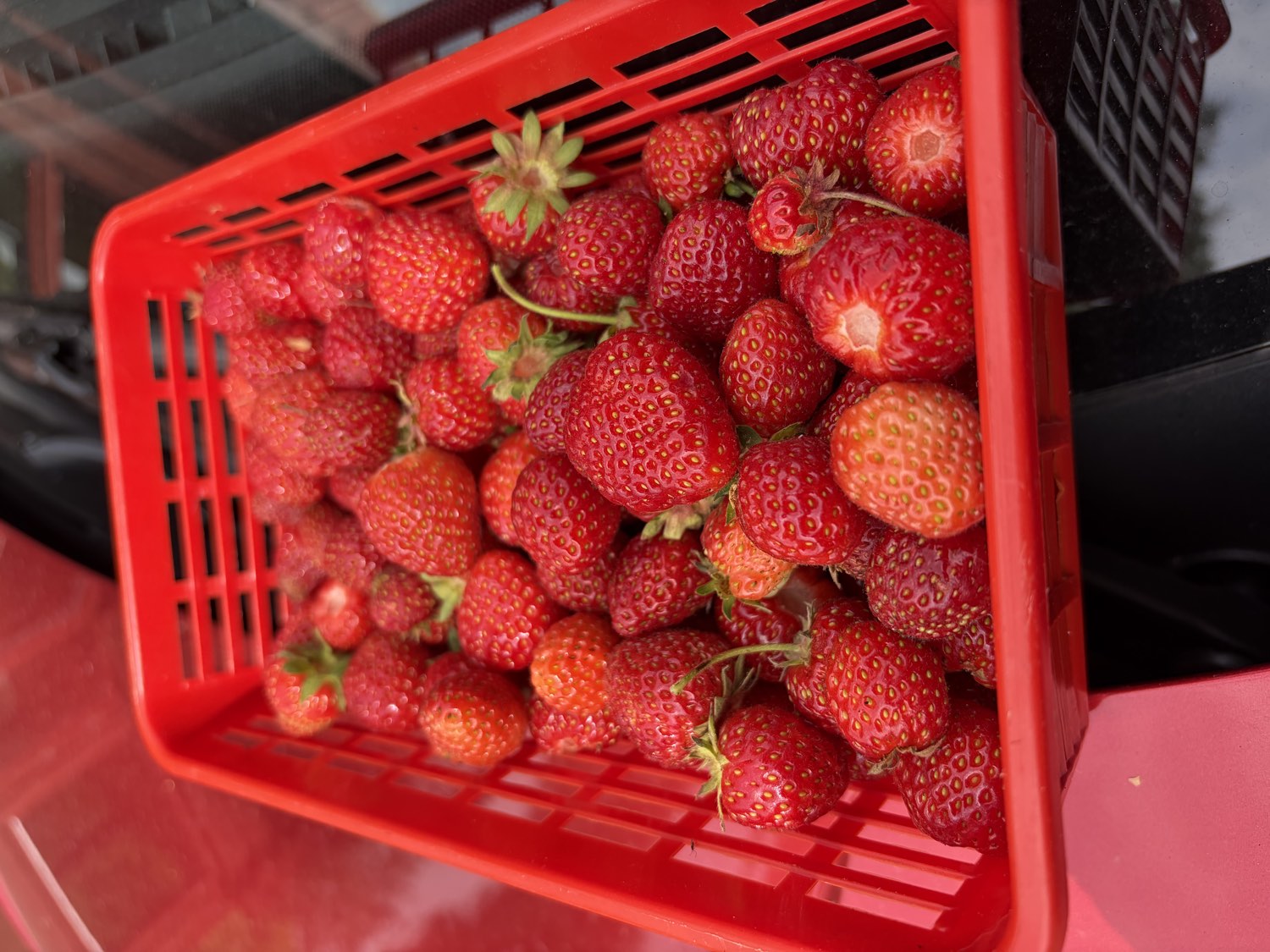 food at Nederberga Valley