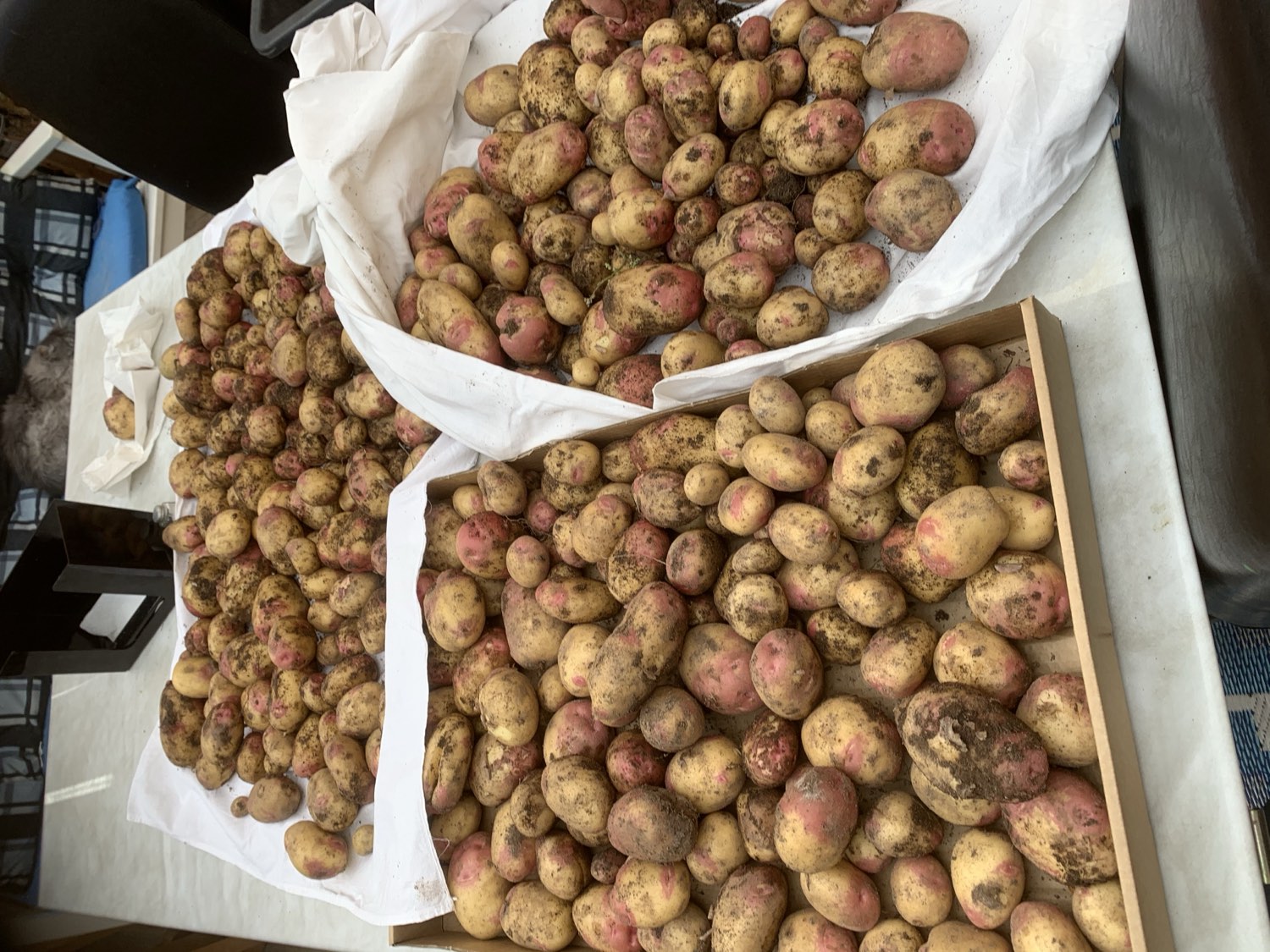 food at Nederberga Valley