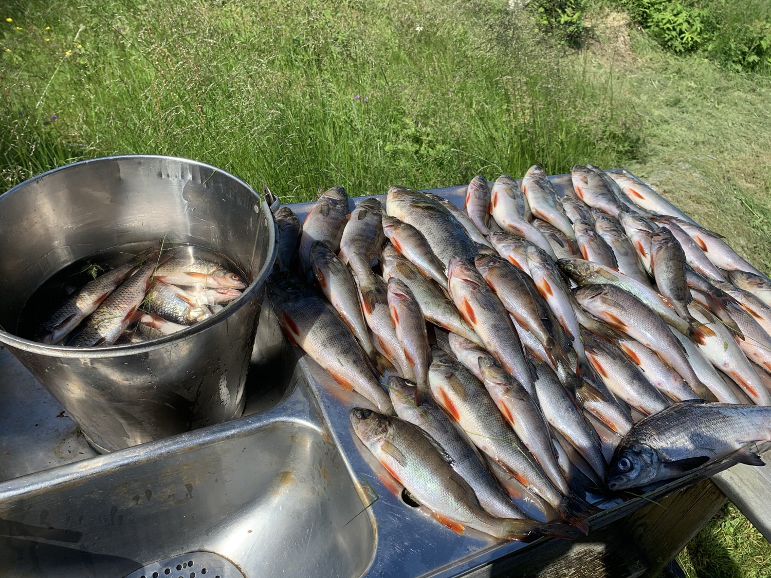 food at Nederberga Valley
