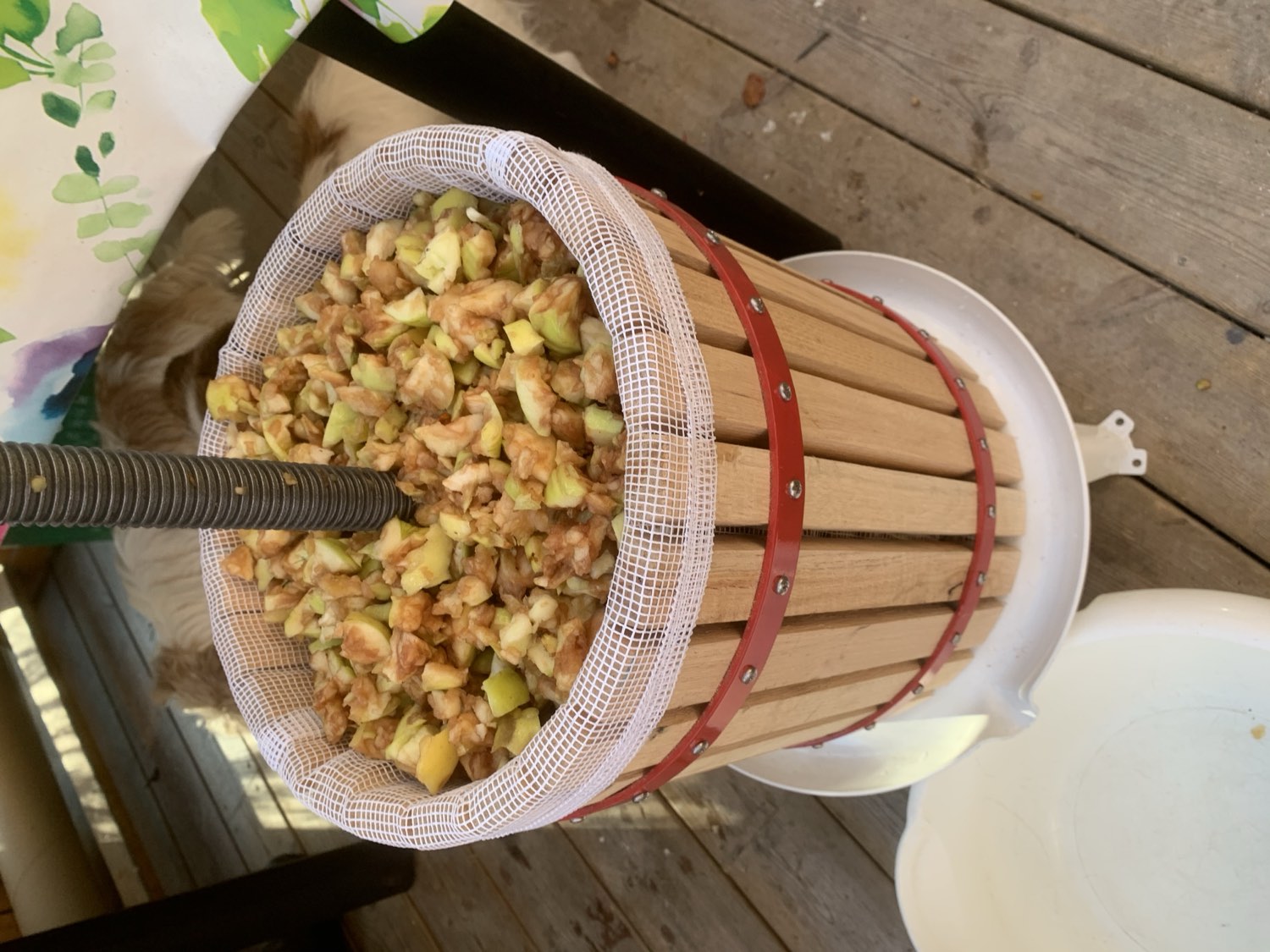 food at Nederberga Valley