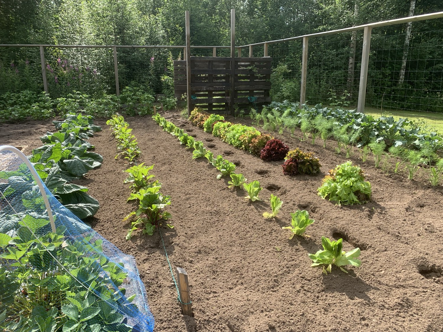 garden at Nederberga Valley