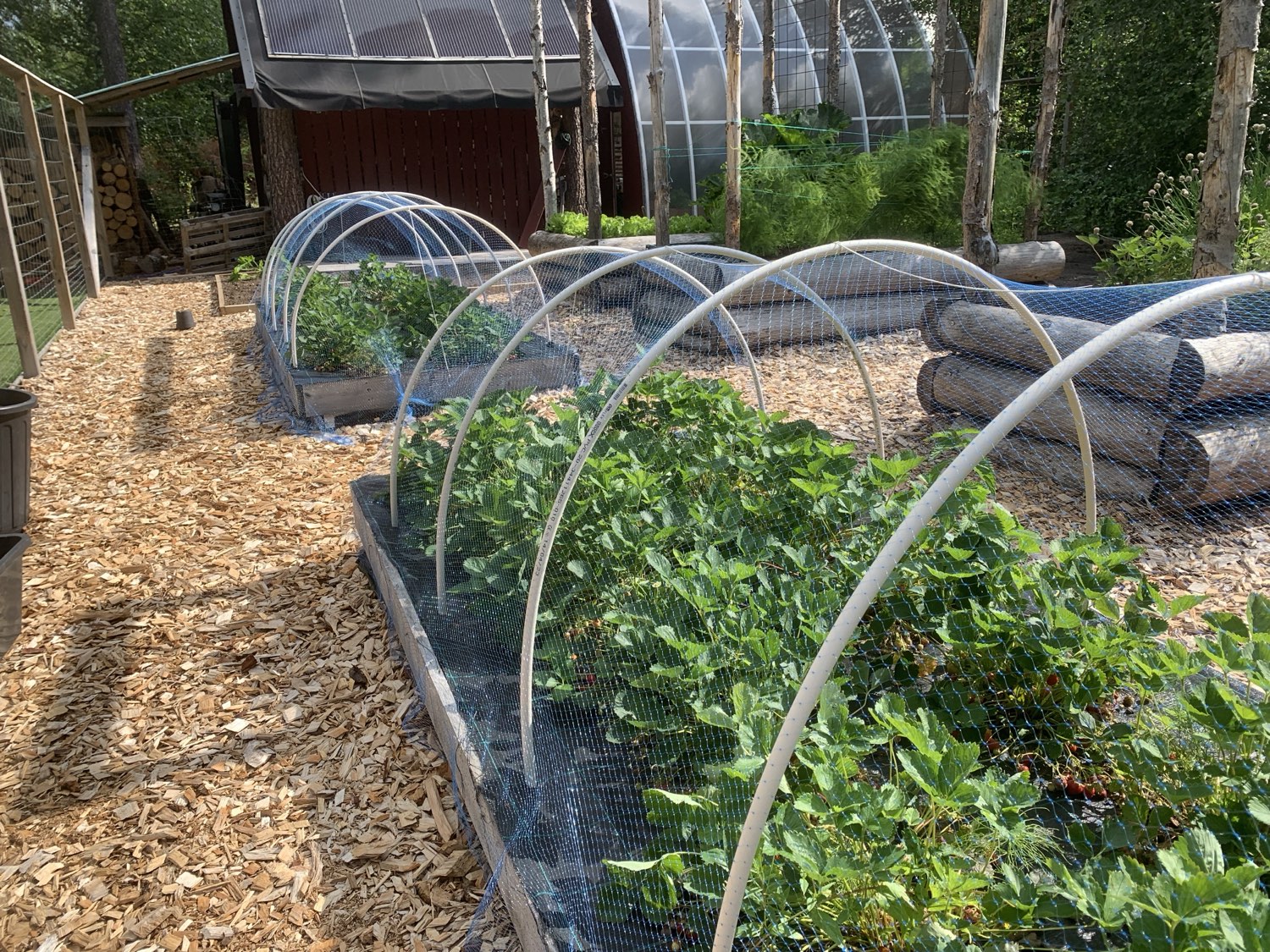 garden at Nederberga Valley