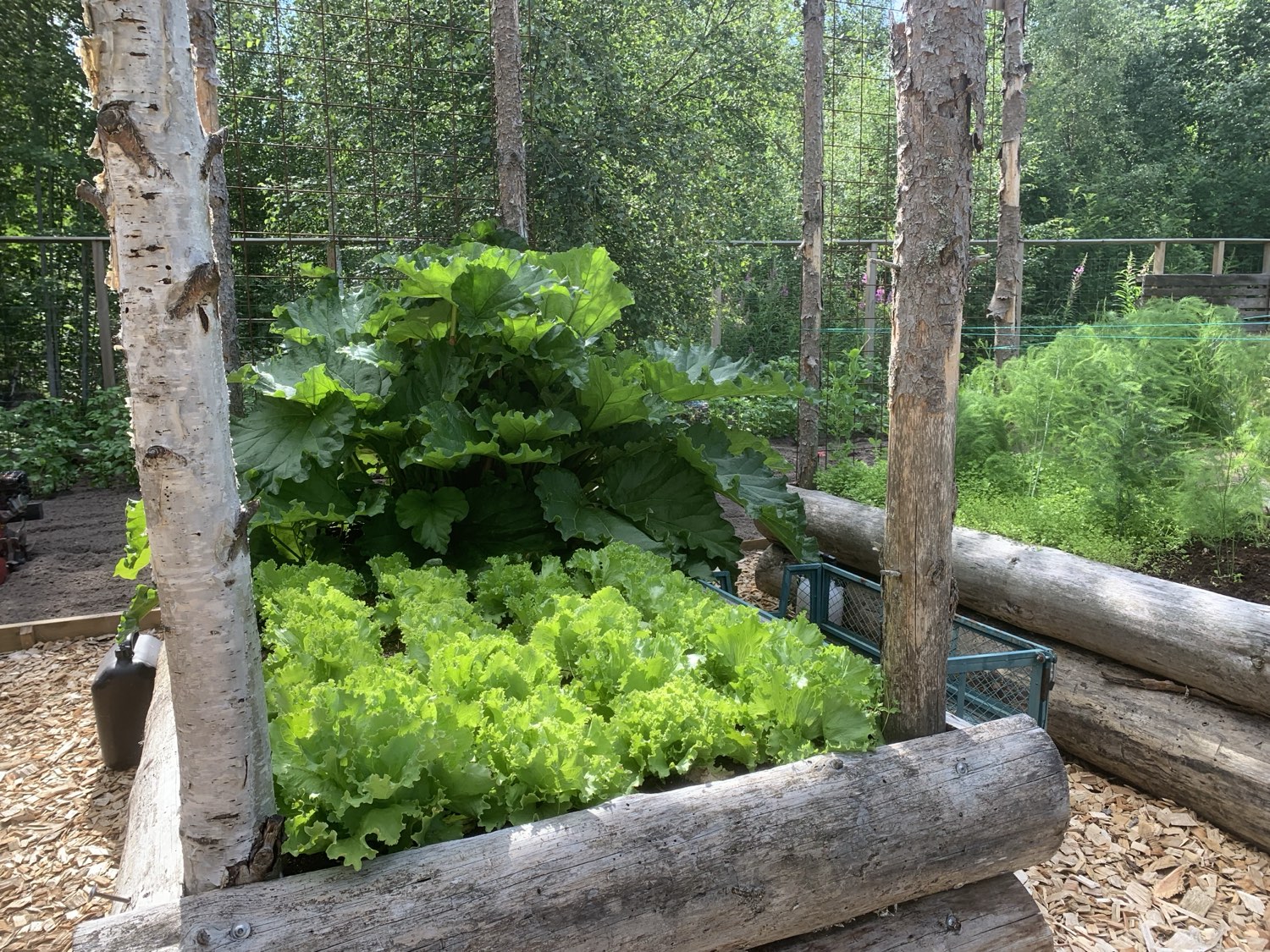garden at Nederberga Valley