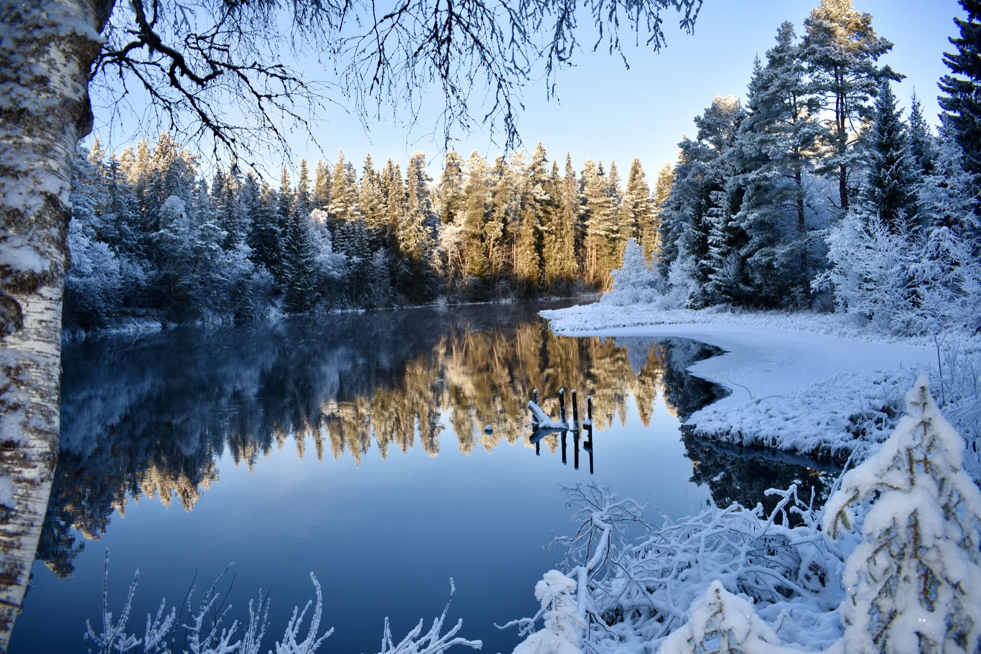 nature at Nederberga Valley