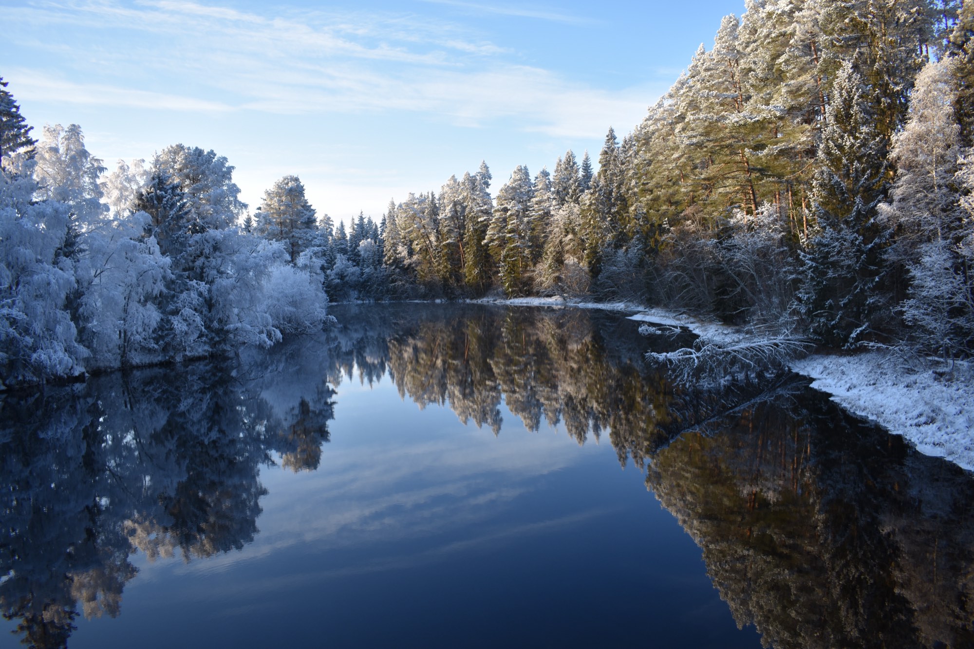 nature at Nederberga Valley