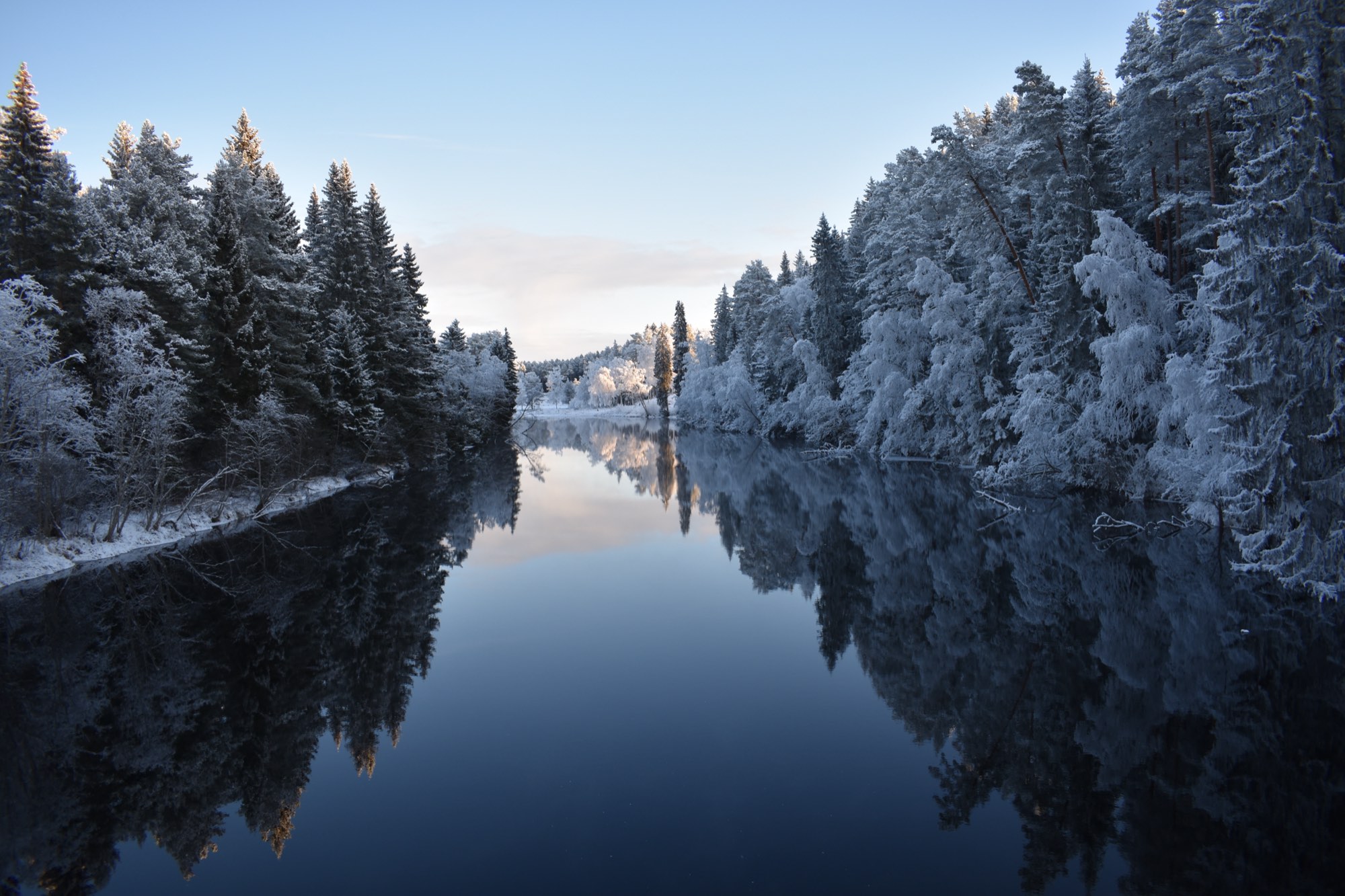 nature at Nederberga Valley