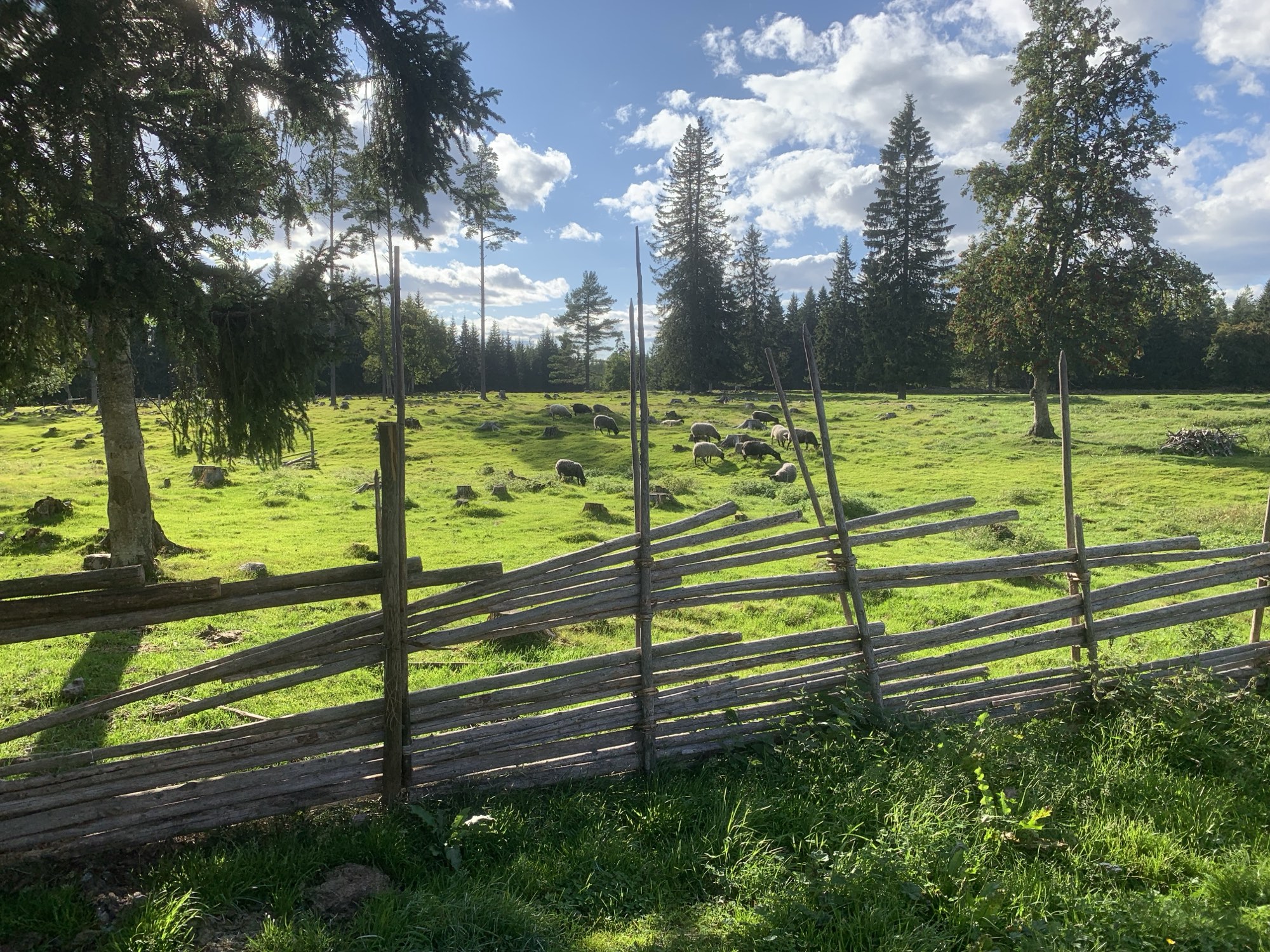 nature at Nederberga Valley