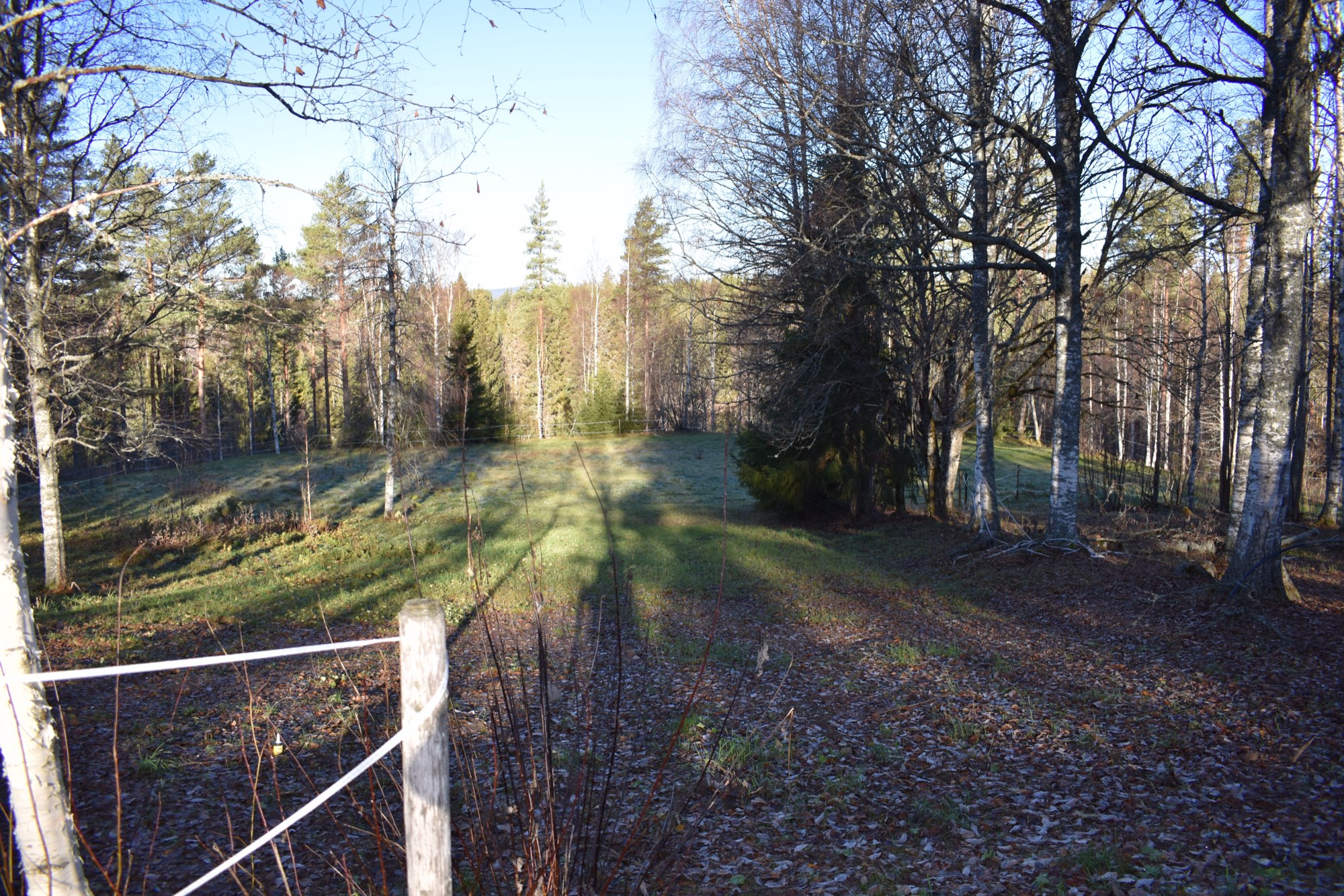 nature at Nederberga Valley