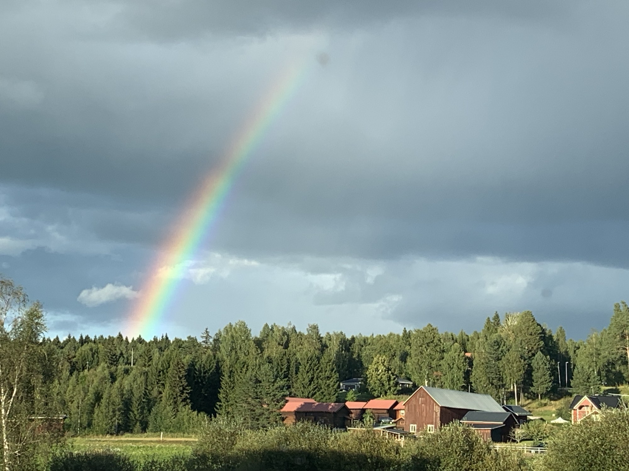 nature at Nederberga Valley